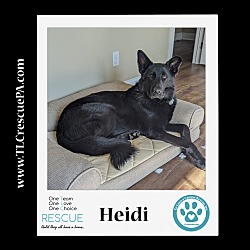 Photo of Heidi 111321