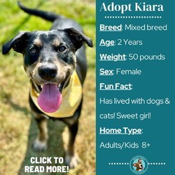 Thumbnail photo of Kiara #2