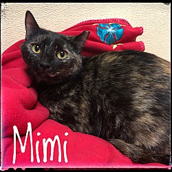Photo of Mimi