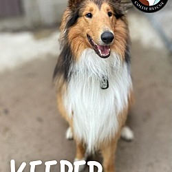 Thumbnail photo of Keeper #2