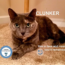 Photo of Clunker