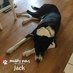 Thumbnail photo of Jack (Courtesy Post) #2