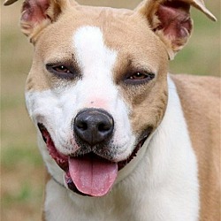 Photo of Skye