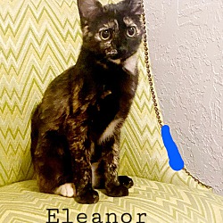 Thumbnail photo of Eleanor #3