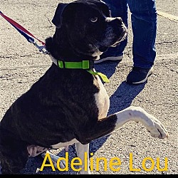 Photo of Addie Lou