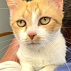 Photo of Sunni