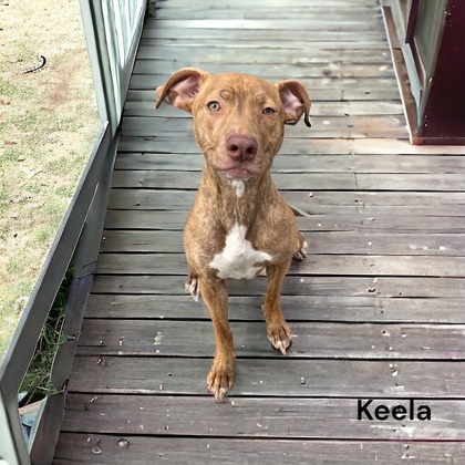 Photo of Keela