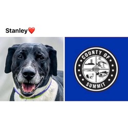Photo of STANLEY