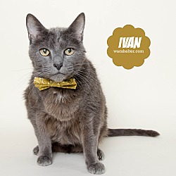 Thumbnail photo of Ivan #1