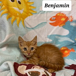 Photo of Benjamin