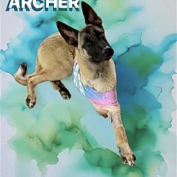 Photo of Archer - TX