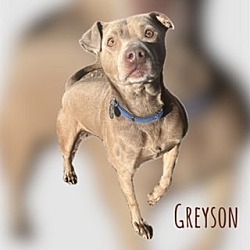 Photo of Greyson