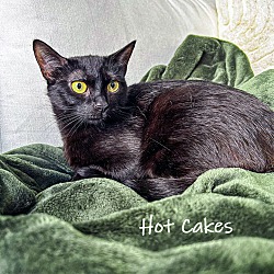 Thumbnail photo of Hot Cakes #2