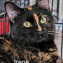 Photo of Irene