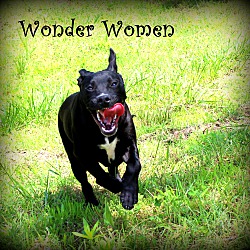 Thumbnail photo of Wonder Women~adopted! #1