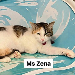 Photo of Ms Zena at Martinez Pet Food Express August 31st