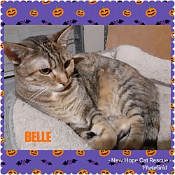 Thumbnail photo of Belle #4