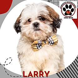 Photo of LARRY