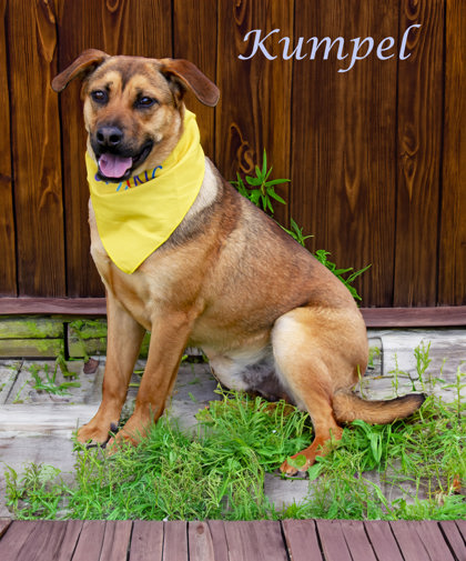 Photo of Kumpel (D24-030)