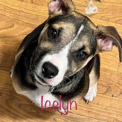Photo of Icelyn