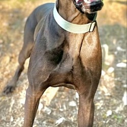 Photo of Cash