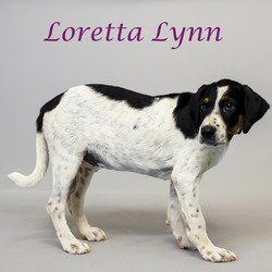 Thumbnail photo of Loretta Lynn D24-139 #3