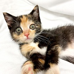 Photo of Amy