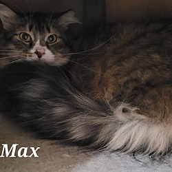 Thumbnail photo of Max #2