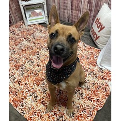 Photo of SABLE