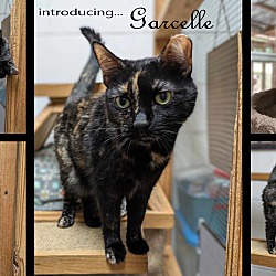 Thumbnail photo of Garcelle #2