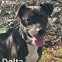 Photo of Delta