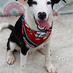 Photo of Troy