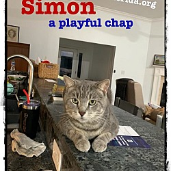 Photo of Simon