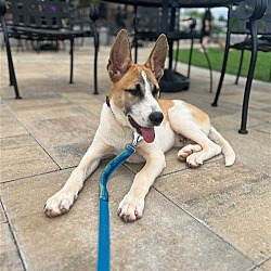 Photo of Artemis