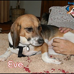 Thumbnail photo of Eve #2