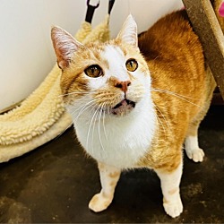 Photo of Mr. Handsome