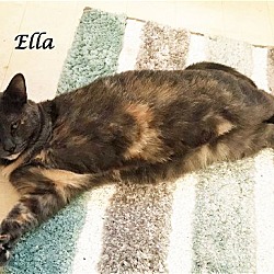 Thumbnail photo of ELLA, A Tripod #3