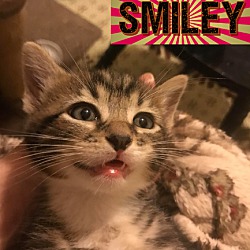 Photo of Smiley