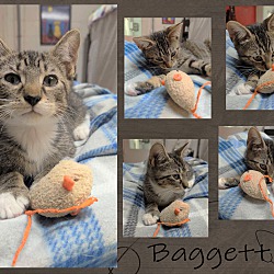 Thumbnail photo of Baggett #2