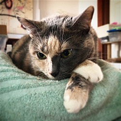 Thumbnail photo of Libby (I'm in foster care!) #4