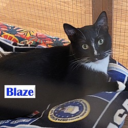 Photo of Blaze