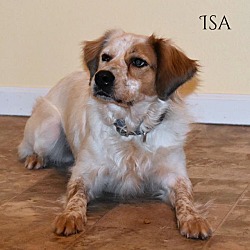 Thumbnail photo of Isa #2