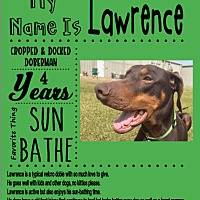 sweet home doberman rescue
