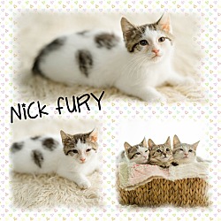 Thumbnail photo of Nick Fury #1