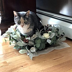 Photo of Penny