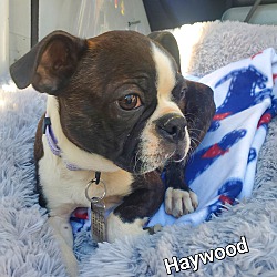 Photo of Haywood