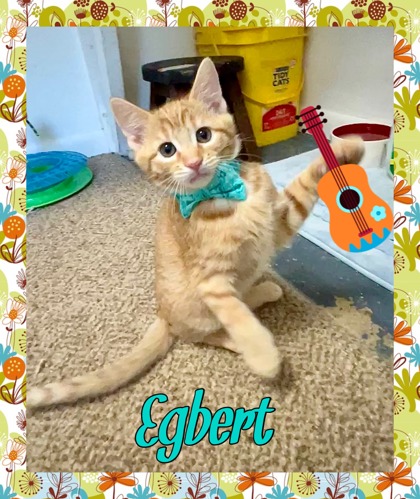 Photo of Egbert