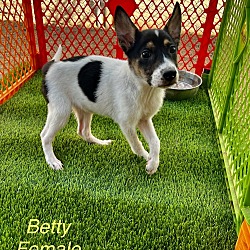 Thumbnail photo of Betty #1