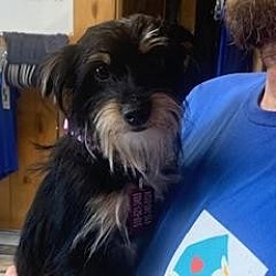 Photo of Arlo_JELP-Stray-je319 1022