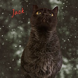 Thumbnail photo of Jack #2